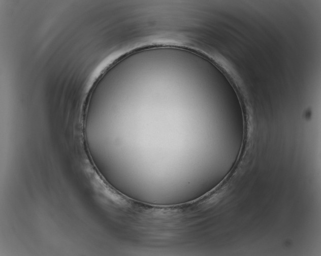 X0000116671240200912291651