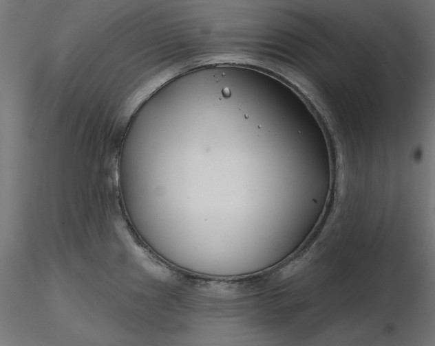 X0000116671241200912291651