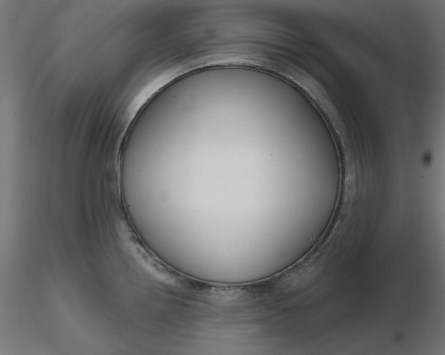 X0000116671242200912291651