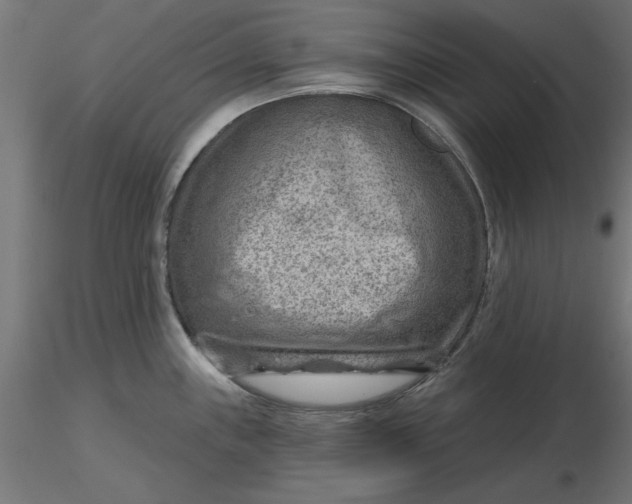 X0000116671243200912291652