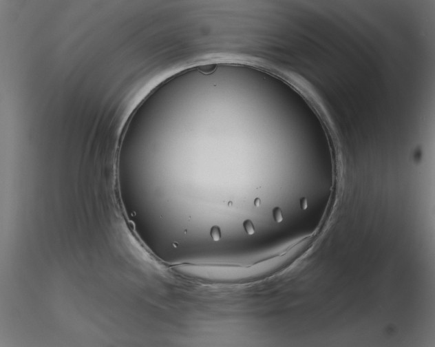 X0000116671244200912291652