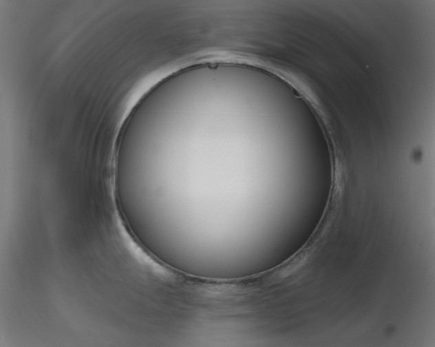 X0000116671247200912291652