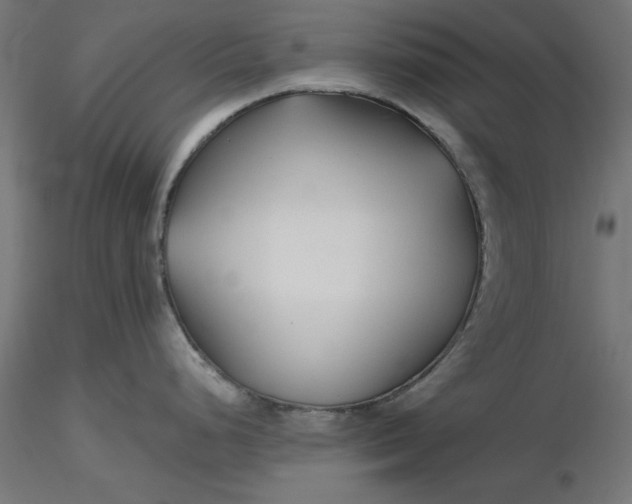 X0000116671248200912291652