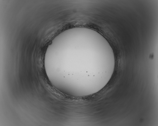 X0000116671250200912291651