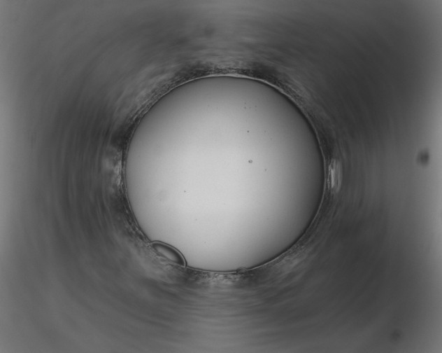 X0000116671251200912291651