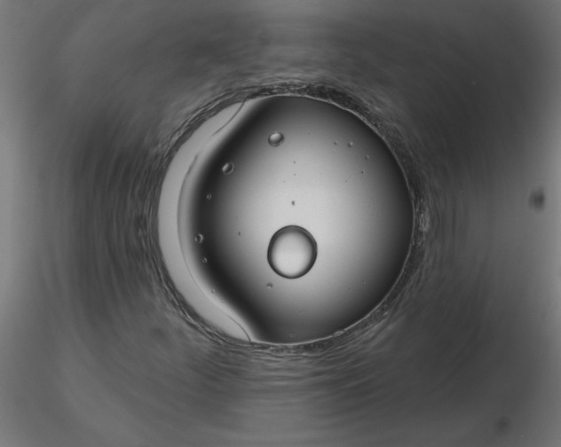 X0000116671252200912291651