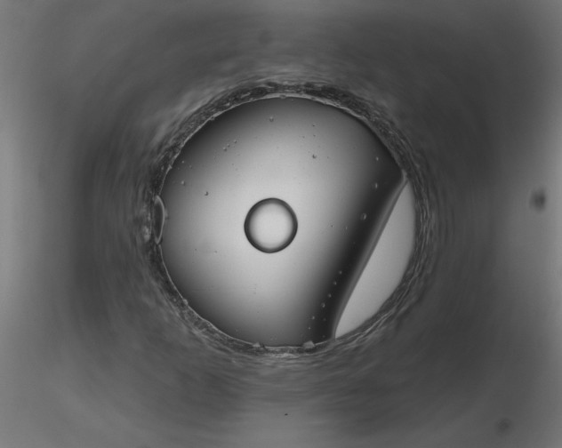 X0000116671253200912291651