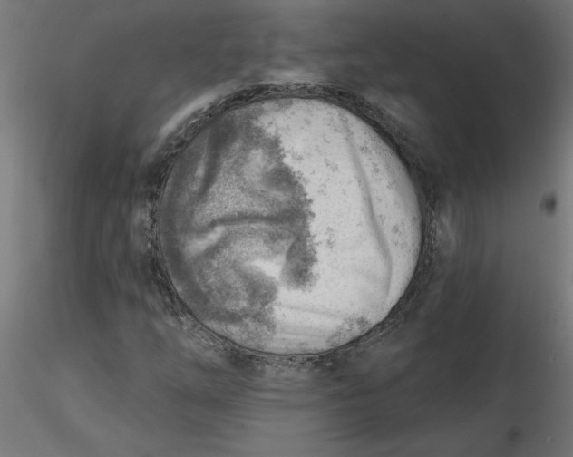 X0000116671254200912291651