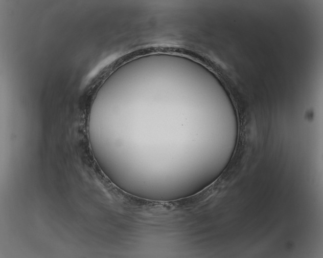 X0000116671255200912291651