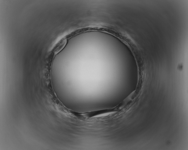 X0000116671256200912291651