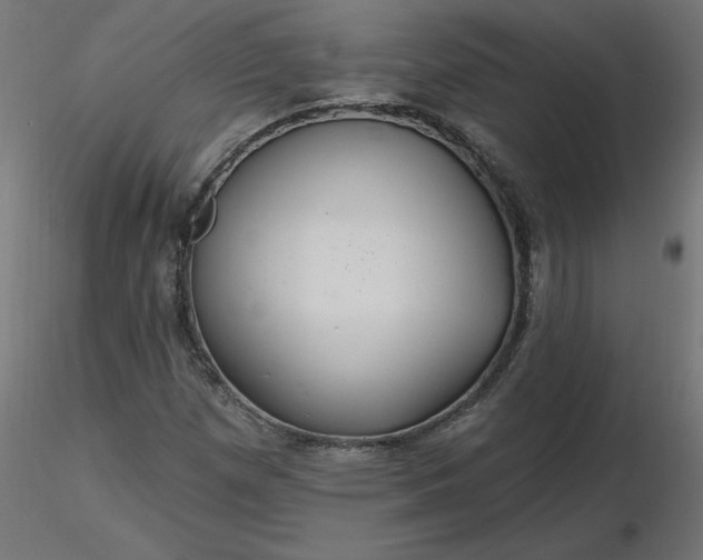 X0000116671257200912291651