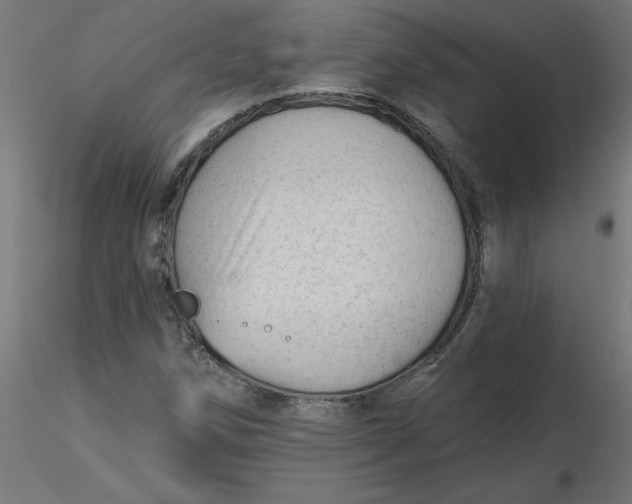 X0000116671258200912291651