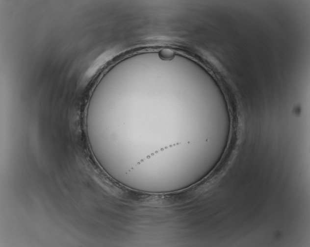 X0000116671259200912291651