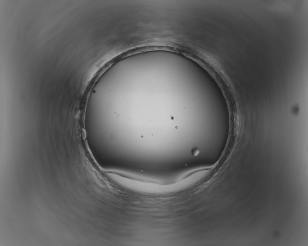 X0000116671260200912291651