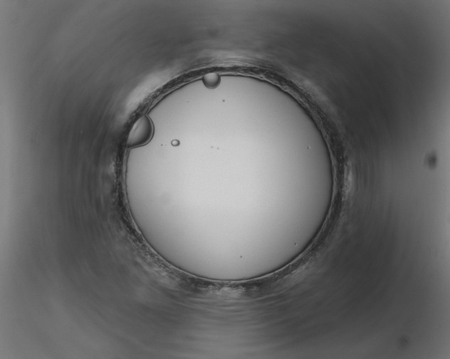 X0000116671261200912291651