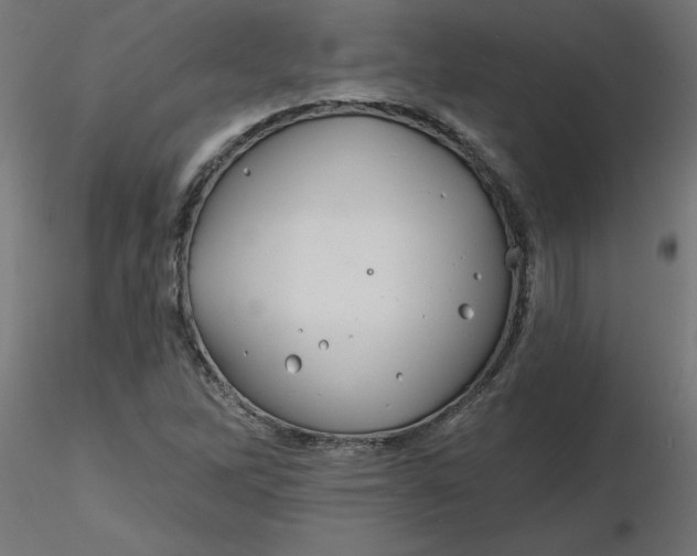 X0000116671262200912291651