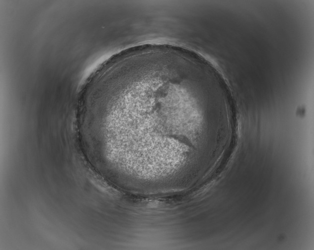 X0000116671263200912291651