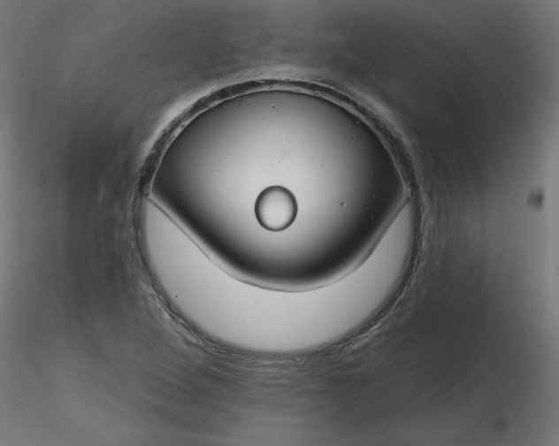 X0000116671264200912291651