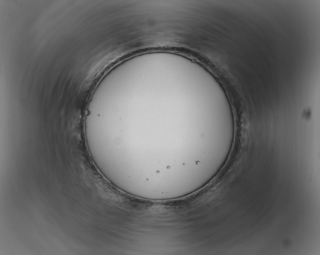 X0000116671265200912291651