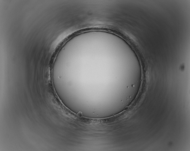 X0000116671267200912291651