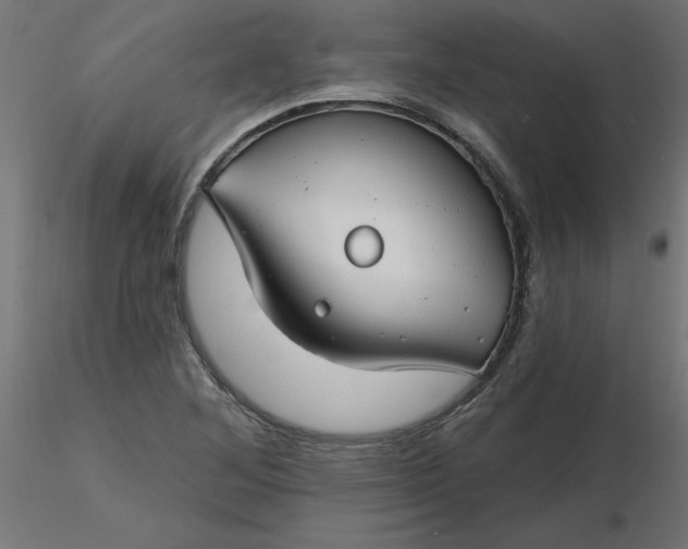 X0000116671268200912291651