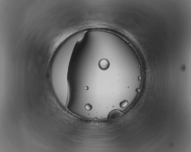 X0000116671269200912291651