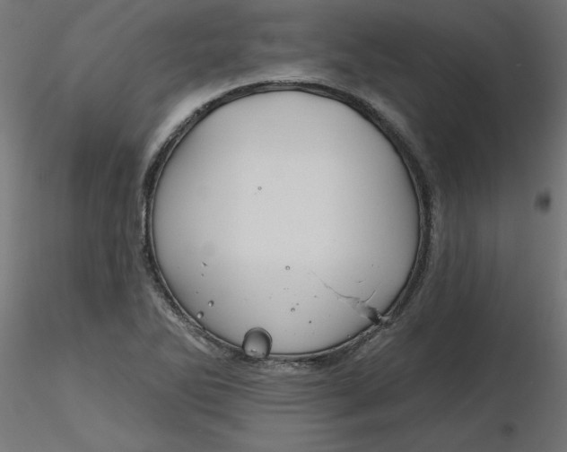 X0000116671270200912291651