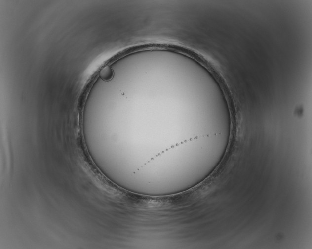 X0000116671271200912291651