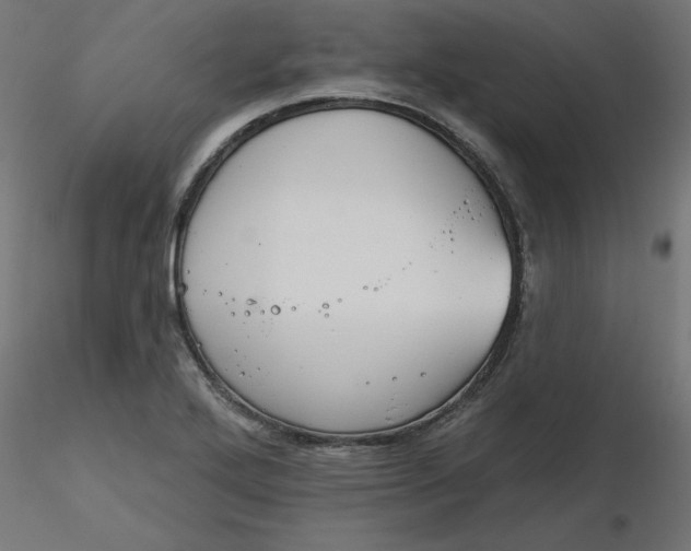 X0000116671272200912291651