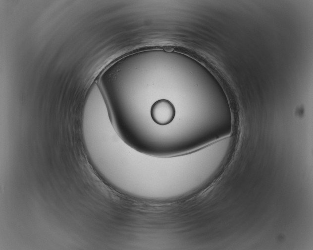 X0000116671273200912291651