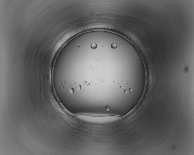 X0000116671274200912291651