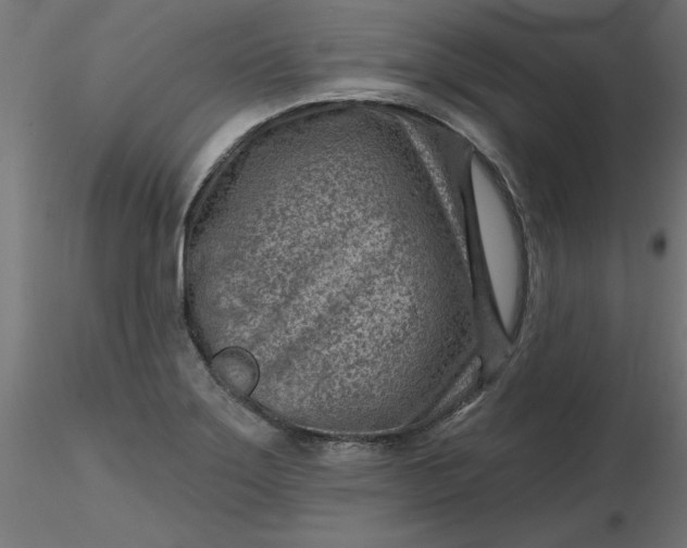 X0000116671275200912291651