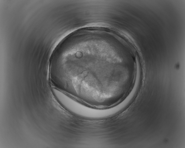 X0000116671276200912291651