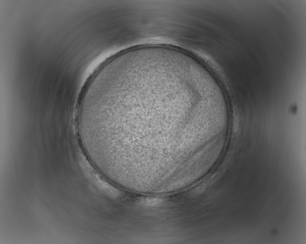 X0000116671278200912291651