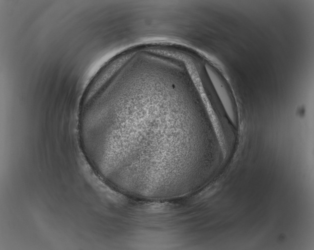 X0000116671279200912291651