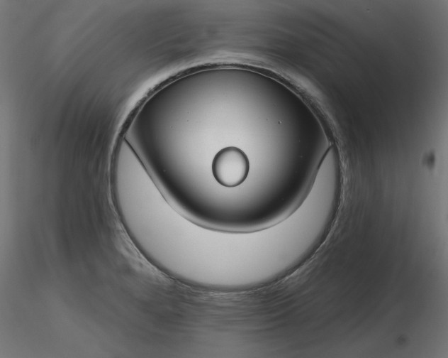 X0000116671280200912291650