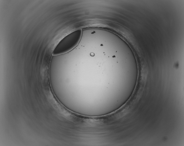 X0000116671281200912291650