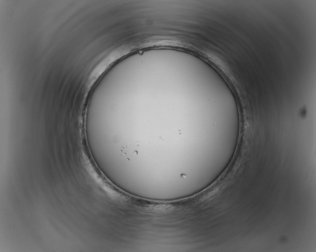 X0000116671282200912291650