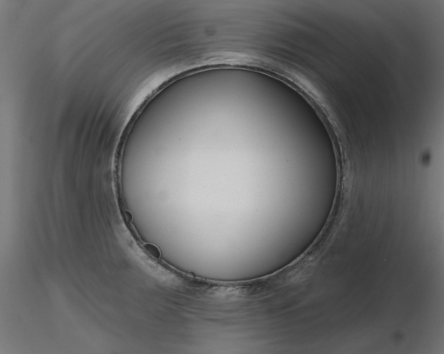 X0000116671283200912291650