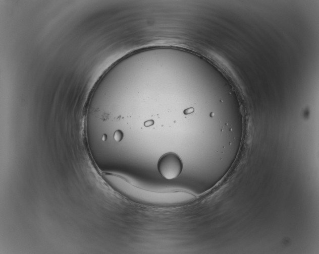 X0000116671284200912291650