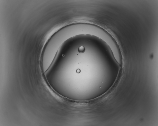 X0000116671285200912291650