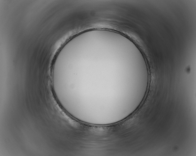 X0000116671286200912291650