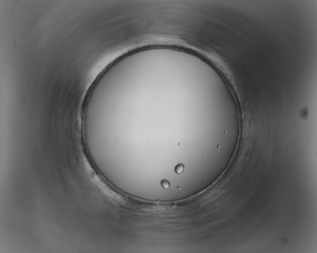 X0000116671287200912291650