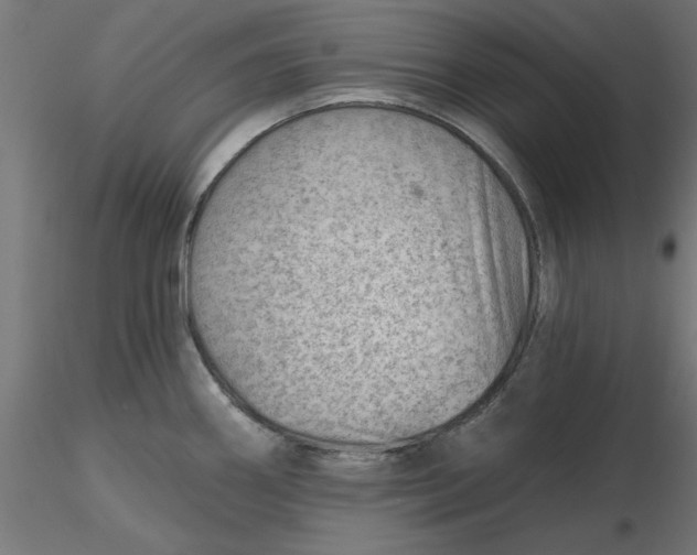 X0000116671290200912291650