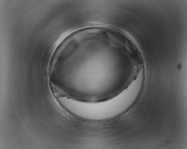 X0000116671291200912291650