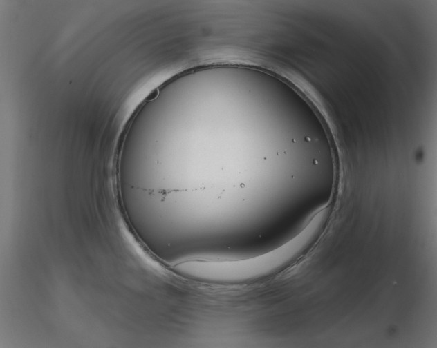 X0000116671293200912291650