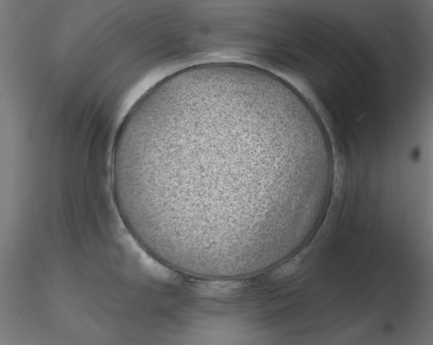 X0000116671294200912291650