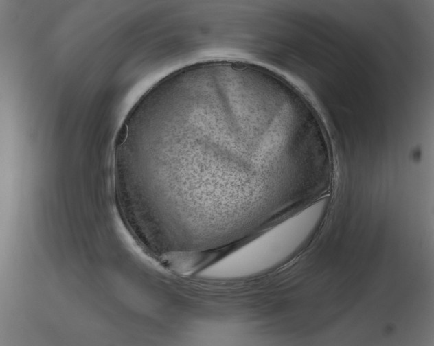 X0000116671295200912291650