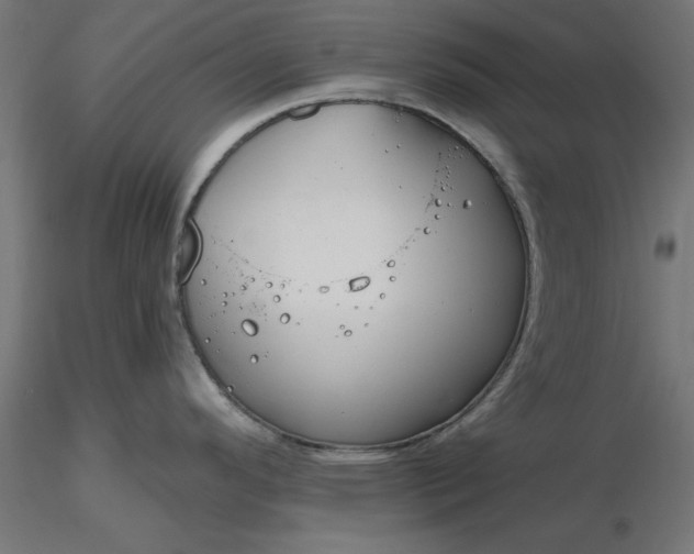 X0000116671296200912291650