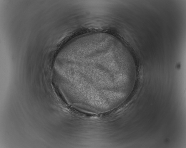 X0000116671297200912291650